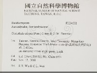 登錄號:F0034532藏品圖，第2張