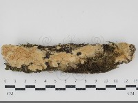 登錄號:F0034534藏品圖，第1張