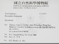 韌革菌屬藏品圖，第2張