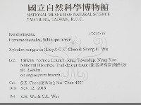 登錄號:F0034536藏品圖，第2張