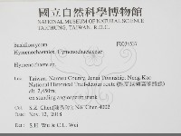 刺革菌屬藏品圖，第2張