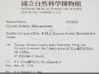 登錄號:F0034540藏品圖，第2張