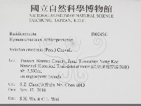 登錄號:F0034541藏品圖，第2張