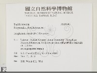 登錄號:F0034545藏品圖，第2張