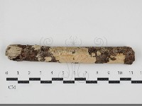 登錄號:F0034545藏品圖，第1張