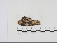 登錄號:F0034546藏品圖，第1張