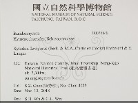 登錄號:F0034548藏品圖，第2張