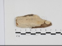 登錄號:F0034549藏品圖，第1張