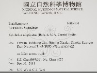 登錄號:F0034551藏品圖，第2張