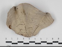 登錄號:F0034551藏品圖，第3張