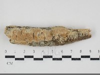 登錄號:F0034553藏品圖，第1張