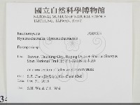 登錄號:F0034554藏品圖，第2張