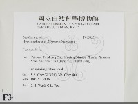 登錄號:F0034555藏品圖，第2張