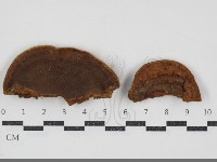 登錄號:F0034555藏品圖，第1張