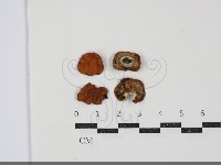 登錄號:F0034557藏品圖，第1張