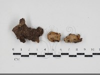 登錄號:F0034558藏品圖，第1張