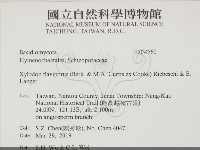 登錄號:F0034560藏品圖，第2張