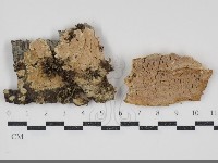 登錄號:F0034560藏品圖，第1張