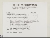 登錄號:F0034562藏品圖，第2張