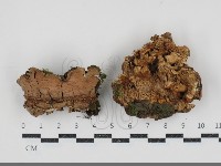 登錄號:F0034564藏品圖，第1張