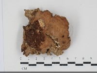 登錄號:F0034565藏品圖，第1張