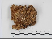 登錄號:F0034565藏品圖，第3張