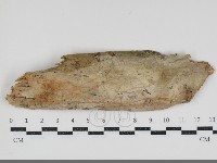 登錄號:F0034568藏品圖，第1張