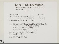 登錄號:F0034569藏品圖，第2張