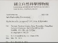 登錄號:F0034570藏品圖，第2張