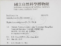 剛毛絲皮菌藏品圖，第2張