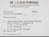 登錄號:F0034574藏品圖，第2張