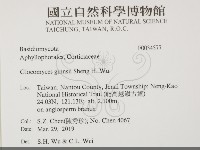 登錄號:F0034577藏品圖，第2張