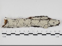 登錄號:F0034580藏品圖，第1張