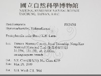 登錄號:F0034581藏品圖，第2張