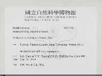 毛木耳藏品圖，第2張