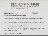 登錄號:F0034583藏品圖，第2張