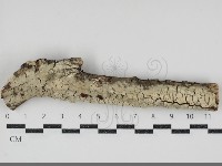 登錄號:F0034583藏品圖，第1張