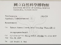 登錄號:F0034584藏品圖，第2張