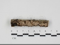 登錄號:F0034586藏品圖，第1張