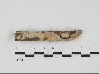 登錄號:F0034587藏品圖，第1張