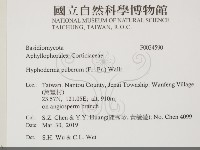 登錄號:F0034590藏品圖，第2張