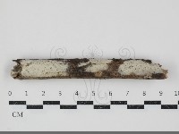 登錄號:F0034590藏品圖，第1張