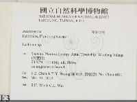 登錄號:F0034592藏品圖，第2張