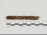 登錄號:F0034592藏品圖，第1張