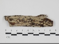 登錄號:F0034594藏品圖，第1張