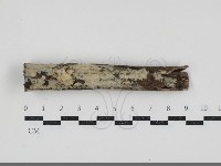 登錄號:F0034595藏品圖，第1張