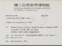 登錄號:F0034597藏品圖，第2張