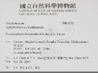 登錄號:F0034598藏品圖，第2張