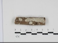 登錄號:F0034598藏品圖，第1張