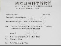 登錄號:F0034599藏品圖，第2張